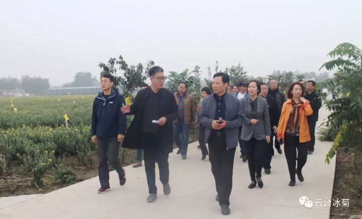 云臺冰菊基地發(fā)生了什么？一批批領導專家團隊前來！